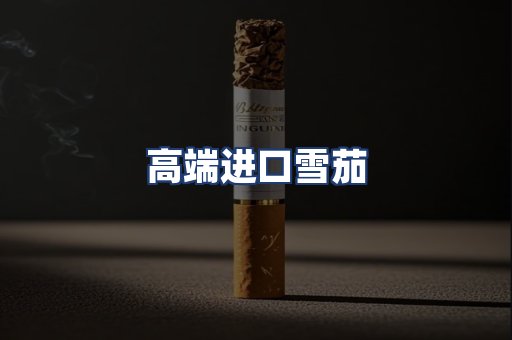 高端进口雪茄